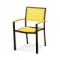 Polywood Euro Dining Arm Chair (Stackable)